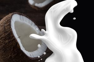 mesin santan untuk usaha kuliner