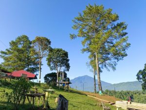 camping di lembang