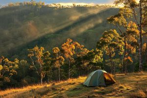 https://hilltopcamplembang.com/tempat-camping-di-lembang-bandung-murah/